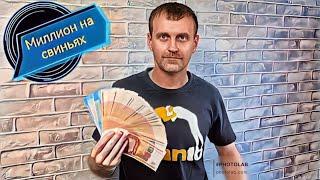 ‼️Вся правда о выгоде откорма быков‼️Точный расчёт‼️прибыль, затраты, выводы.