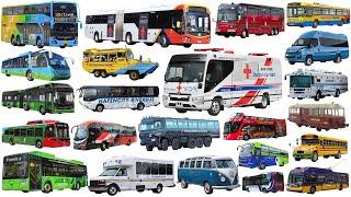 School Bus, Police Bus, City Bus, Coach, Airport bus | BUSES Collection Name Sounds | Learn Vehicle