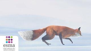 The Short Story of a Fox and a Mouse - ESMA 2015
