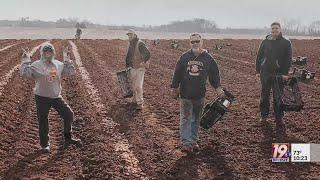 The Story with Jerry Hayes - Hubert Family Tulips