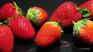 Rotting Strawberry Time-Lapse