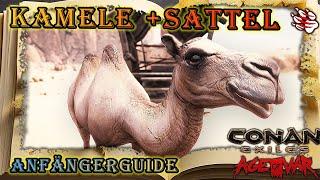 Kamele + BONUS "Warum habe ich keinen Sattel" | Anfängerguide Conan Exiles (2024)