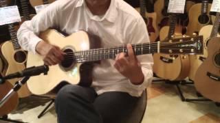 Dolphin Guitars - ASTURIAS  Solo Premium SMD Custom Demo - Player 細川MASH