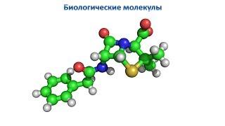 Биологические молекулы