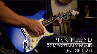 Pink Floyd - Comfortably Numb (PULSE) - Guitar Solo Cover