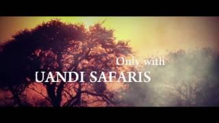 Jaquandi Safaris Intro