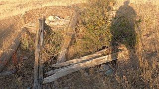 Metal detecting old homesteads in the wild wild west mountains of Montana.  Ep 326