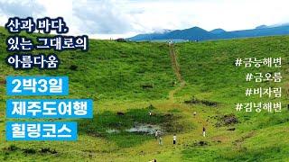 [제주도여행 힐링코스편] 산과 바다, 제주도여행 힐링코스 4곳, 몸과 마음이 정화됩니다.