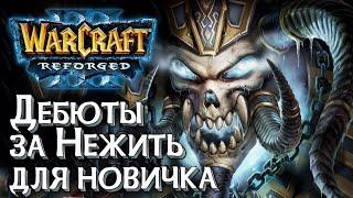 Дебюты за Нежить для новичка: Разбираемся в Warcraft 3 Reforged