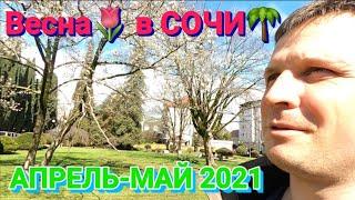 Сочи апрель 2021. Сочи весна 2021. Адлер погода в апреле. Отдых в Сочи в апреле и мае. Пляж в Адлере