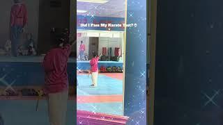 Did I Make the Cut for Orange Belt? 