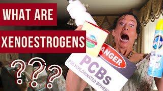 What are Xenoestrogens??? - 107