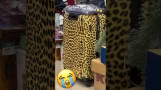 a glamour sootcase #funny #cute #glamour ￼