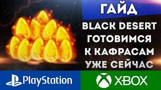 ГОТОВИМСЯ К КАФРАСАМ УЖЕ СЕЙЧАС BLACK DESERT CONSOLE PS4 PS5 XBOX