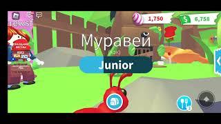 ОБНОВЛЕНИЕ В АДОПТ МИ! ПАСХА В АДОПТ МИ!! СОБИРАЕМ ЯЙЦА. НОВЫЕ ПЕТЫ В АДОПТ МИ. ГОЛУБЬ. ЗАЯЦ.