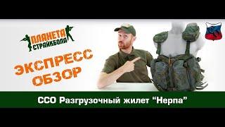 Review of tactical vest "Nerpa" (Seal) by SSO