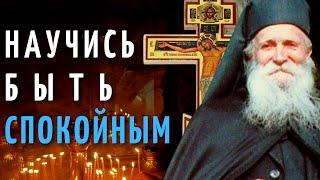 Научись быть спокойным! - Фаддей Витовницкий