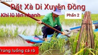 Đặt Xà Di Khi Nước Lũ Về Quá Nhanh Trúng Luồng Cá Đi Ông Anh Bữa Nay Trúng Đậm Cá Nữa Rồi