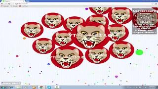Agar.io 40.000mass|Team with Chantality