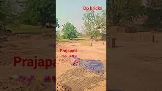 dp bricks