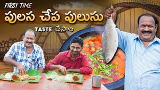 పులస చేపల పులుసు || Pulasa Fish Curry || Most Costliest Fish || Godavari special