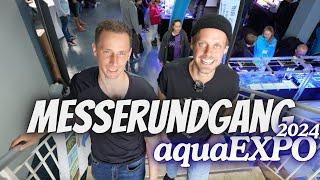 Martin ist wieder da?! - Aqua-Expo Messerundgang mit @martinsfische