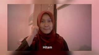 Bisindo Warna (Bahasa Isyarat Indonesia)