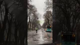 У Сумах на Петропавлівський дерево впало на дорогу  21.11.24