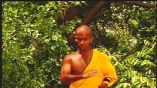 Shaolin Temple India