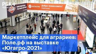 Маркетплейс для аграриев: Поле.рф на выставке «Югагро-2021»