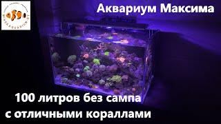 Морской аквариум 100 литров без сампа с красивыми кораллами.