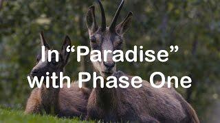 In Paradise with Phase One