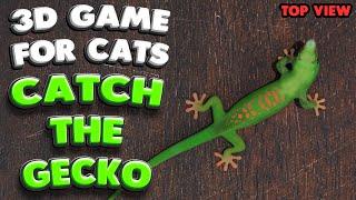 3D game for cats | CATCH THE GECKO (top view) | 4K, 60 fps, stereo sound