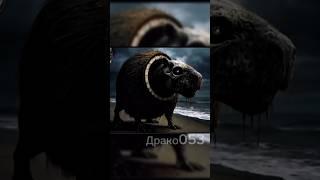 Итальянские животные клип #мем #subscribe #shorts