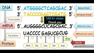 Difference between Sense Strand and Antisense Strand of DNA | Coding Strand vs Non coding Strand