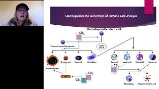 Cannabis as Immunonotherapy for 21st Century Acquired Immune Deficiencies