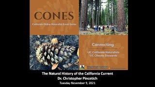 Natural History of the California Current with Dr. Christopher Pincetich