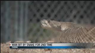 Reason to never take a selfie with a rattlesnake