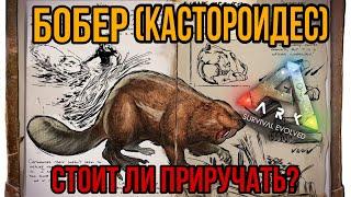 Бобёр (Кастороидес) ARK MOBILE | стоит ли приручать? | Бобёр Арк Мобайл | Арк Мобайл