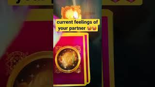 CURRENT FEELINGS OF YOUR PARTNER HINDI TAROT READING #tarot#tarothindi #shorts#currentfeelings