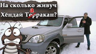 Хендай Терракан 2.9 Таракан в дикой природе.  Hyundai Terracan 2.9