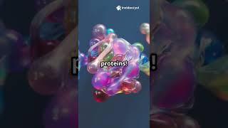 Synthetic Biology and Artificial Cells Explained#Professor, #yst