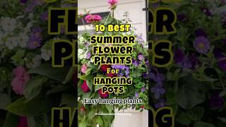 Best flower plants for hanging pots / easy hanging plants #shortvideo #hangingplants #flowerplants