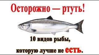  Осторожно — ртуть!  10 видов рыбы, которую лучше не есть