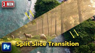 How to Create Split Slice Transition in Premiere Pro | Best Way