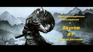 Драконорождённые похождения в SKYRIM #1 "Рассветная заря"