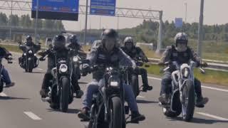 V-Rod V-day 2022 promo
