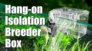 Aquarium Hang-on Isolation Breeder Box with Water Pump - from senzeal.com