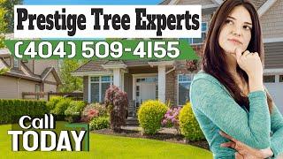 Best Tree Service Acworth GA 30102 - top choice Best Tree Service in Acworth GA 30102? Clients