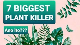 7 BIGGEST PLANT KILLER #plantcaretips #plantaholic